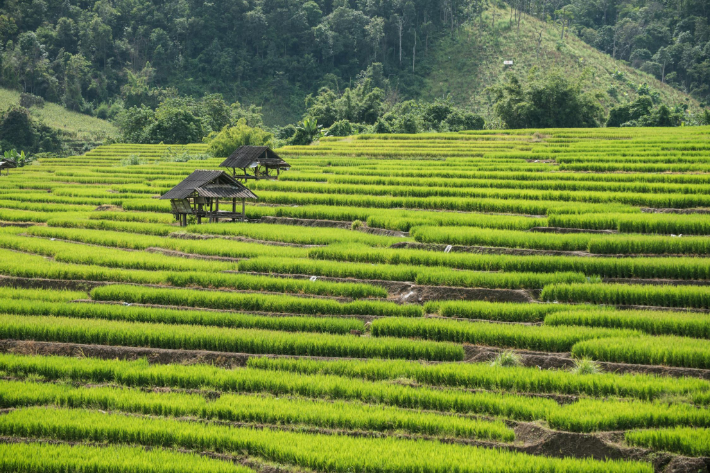 best places in thailand